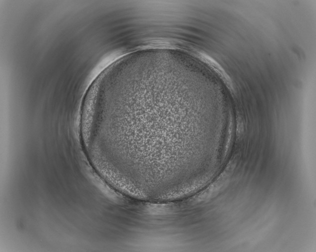 X0000112061378200908181148