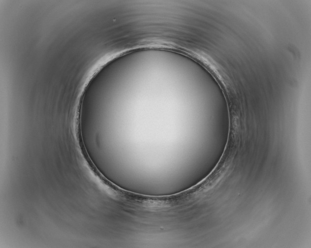 X0000112061379200908181148