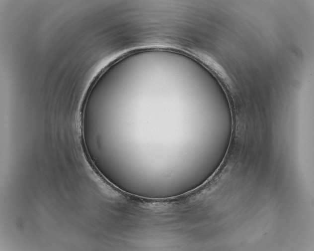 X0000112061380200908181148