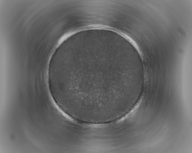 X0000112061381200908181148