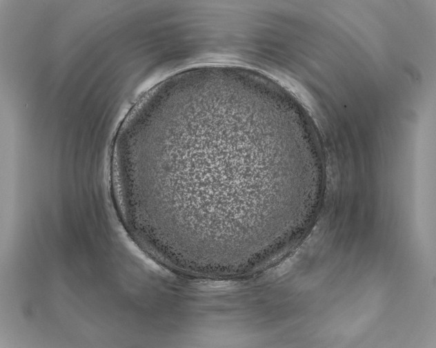 X0000112061382200908181148