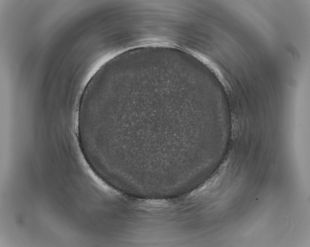 X0000112061383200908181148