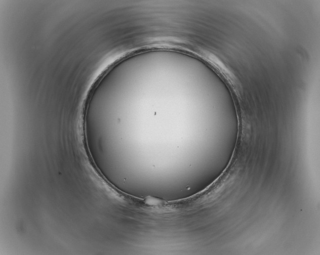 X0000112061384200908181148