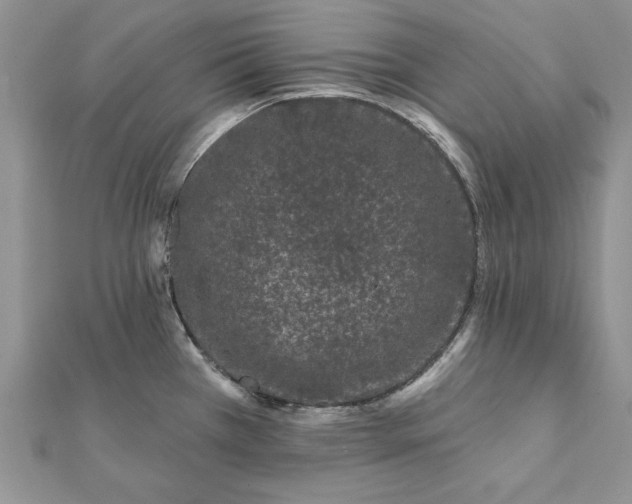 X0000112061385200908181148