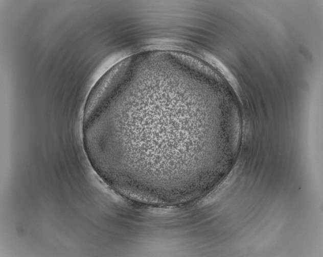 X0000112061386200908181148