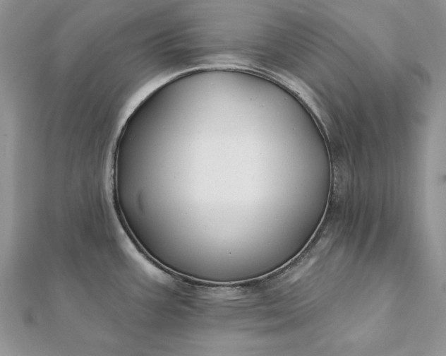 X0000112061387200908181148