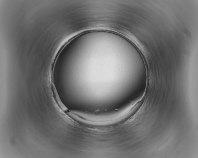 X0000112061388200908181148