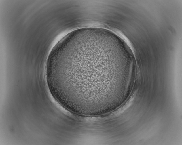 X0000112061389200908181148