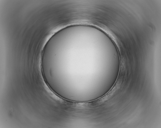 X0000112061390200908181148