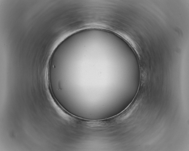 X0000112061391200908181148