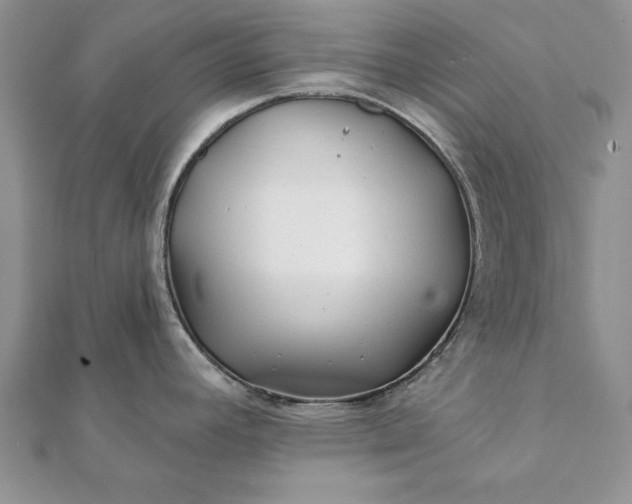 X0000112061392200908181148