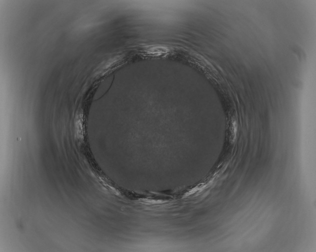 X0000112061394200908181148