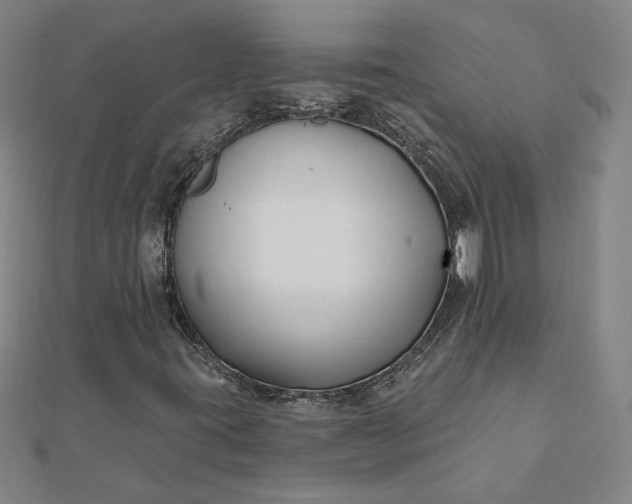 X0000112061395200908181148