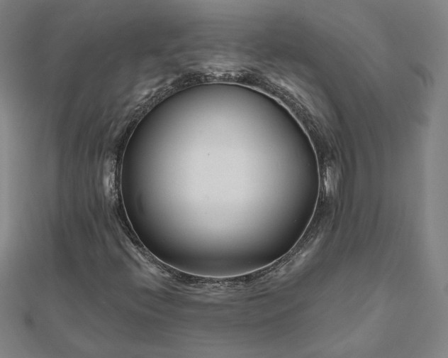 X0000112061396200908181148