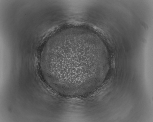 X0000112061397200908181148