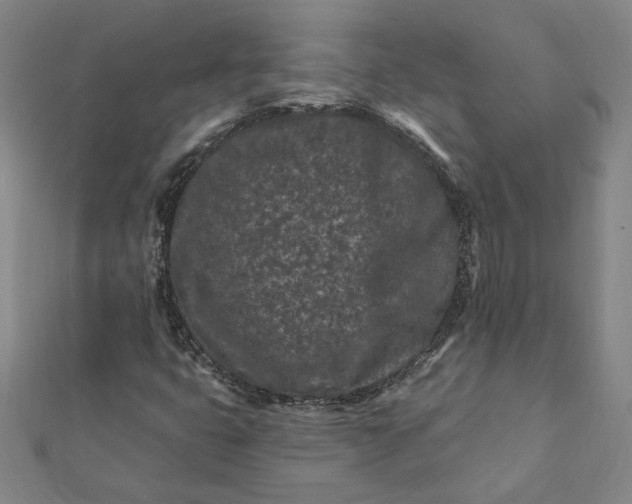 X0000112061399200908181148