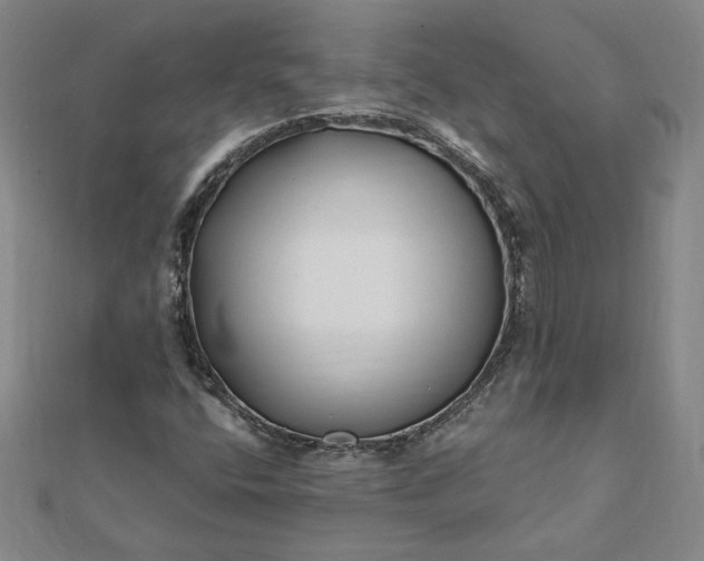 X0000112061400200908181148