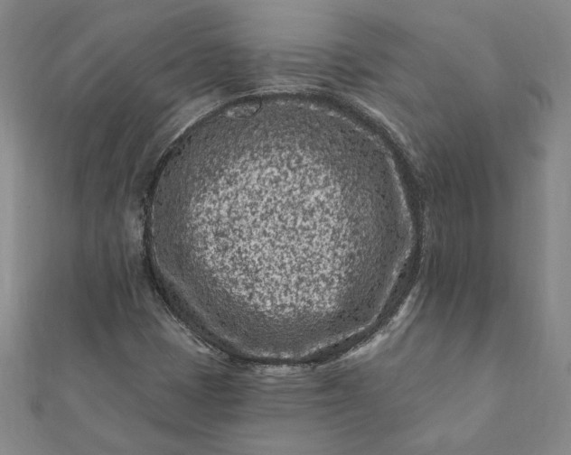 X0000112061401200908181148