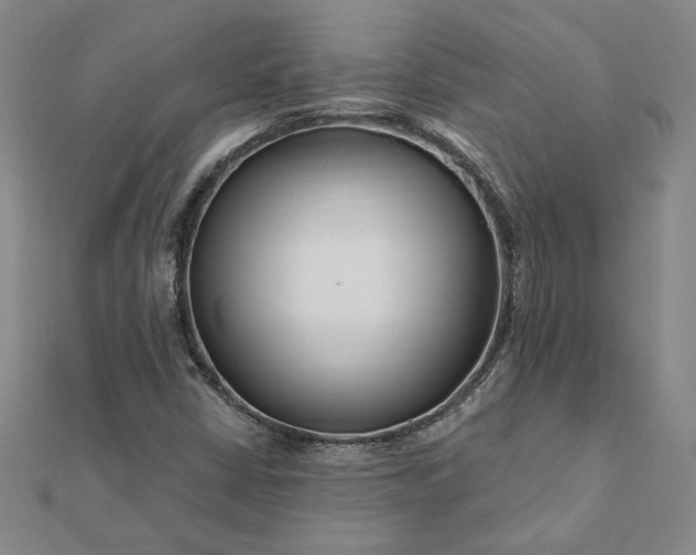 X0000112061402200908181148