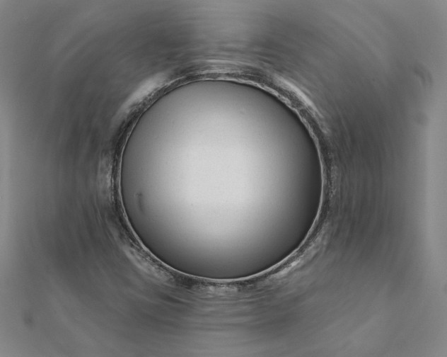 X0000112061403200908181148