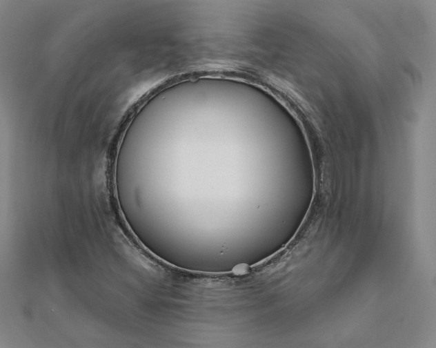 X0000112061404200908181148