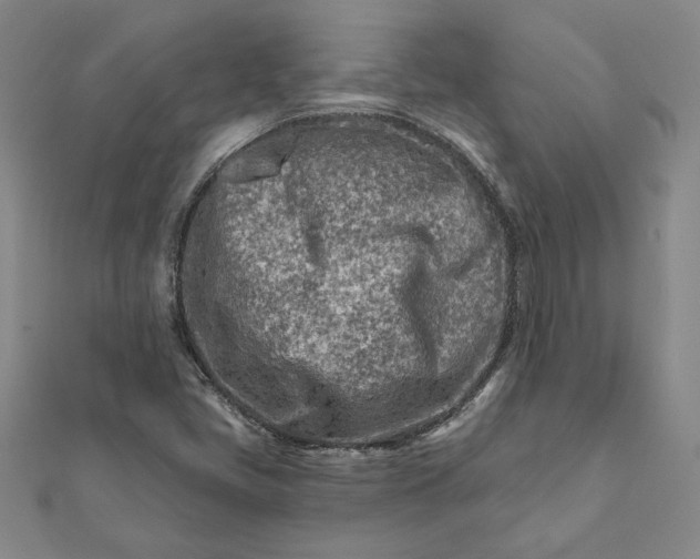 X0000112061405200908181148