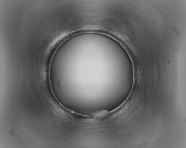 X0000112061406200908181148