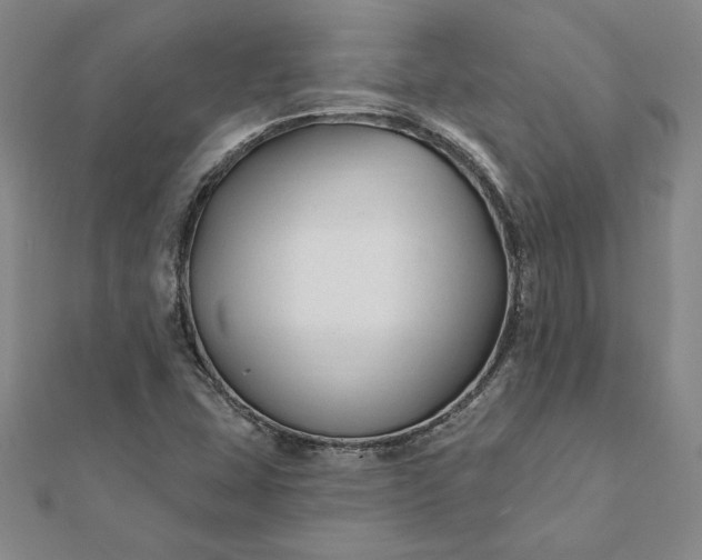 X0000112061407200908181148