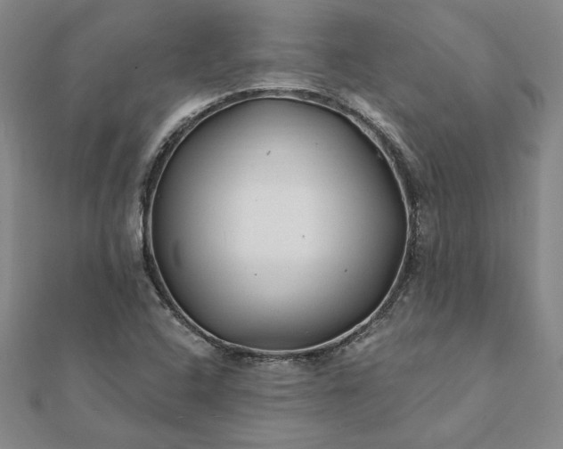 X0000112061408200908181148