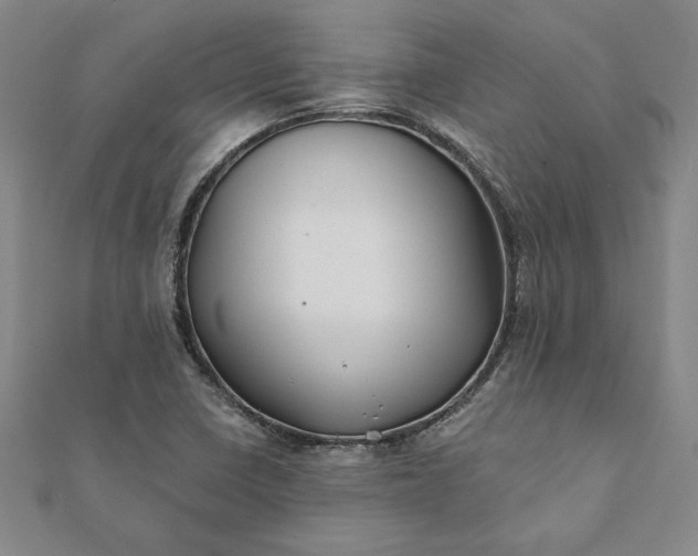 X0000112061410200908181148