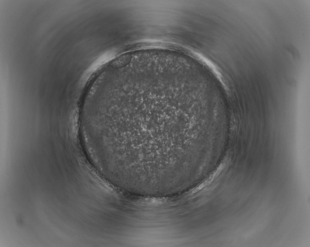 X0000112061411200908181148