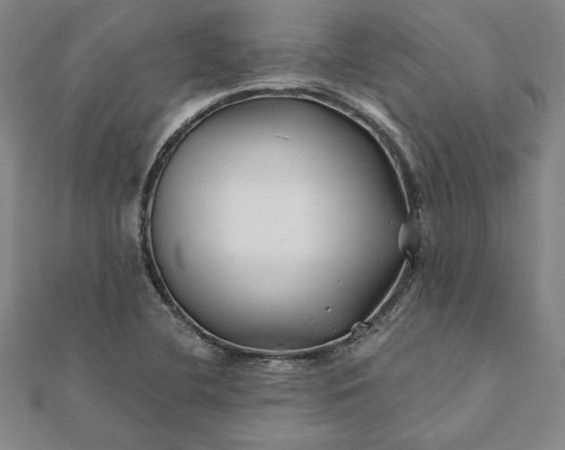 X0000112061412200908181148