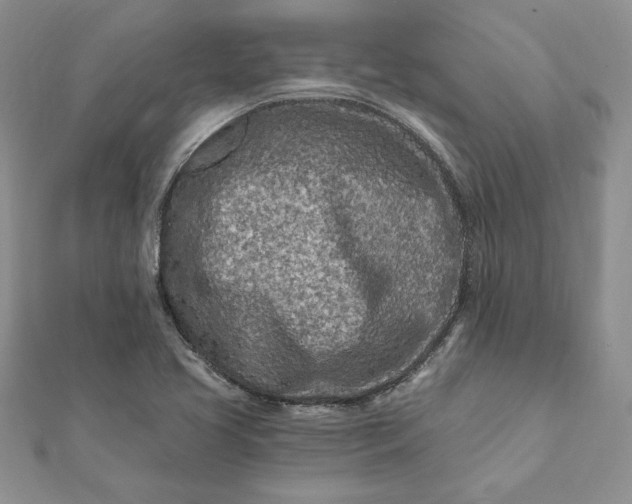 X0000112061413200908181148