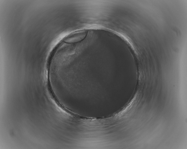 X0000112061414200908181148