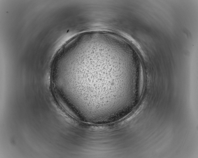 X0000112061415200908181148