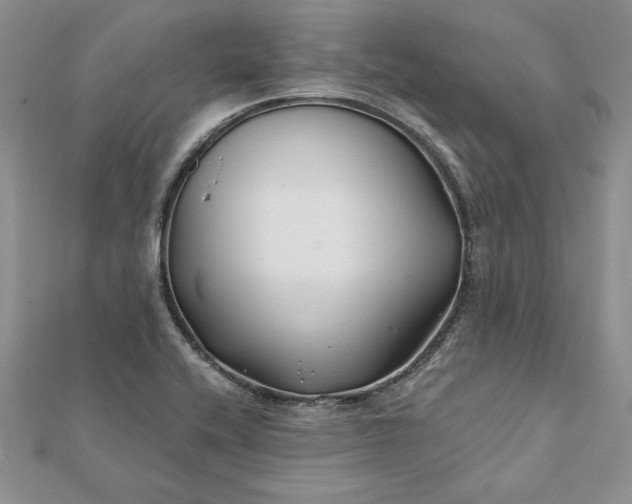 X0000112061416200908181148