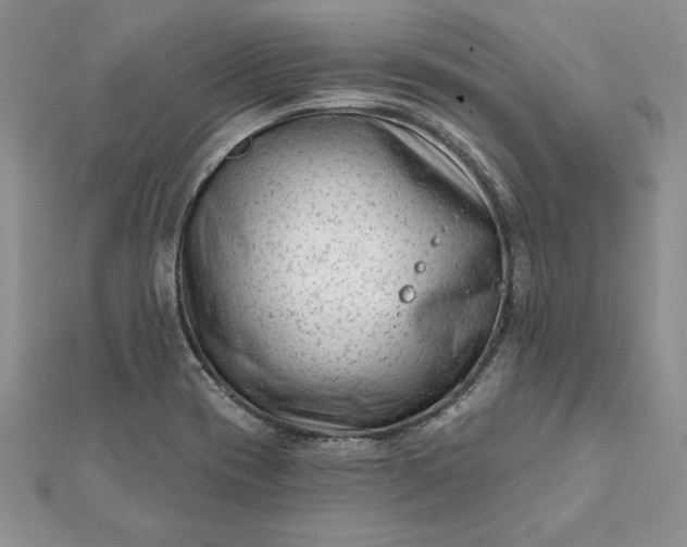 X0000112061417200908181148