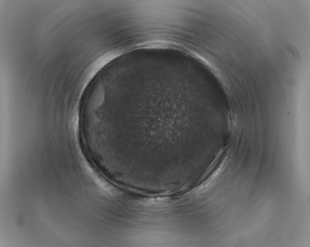 X0000112061418200908181148