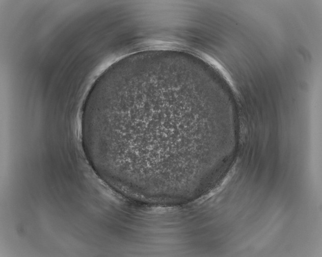 X0000112061419200908181148