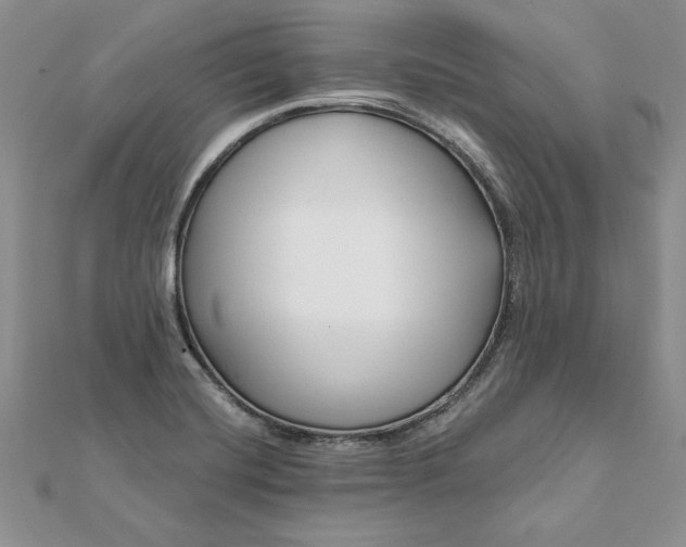 X0000112061420200908181148