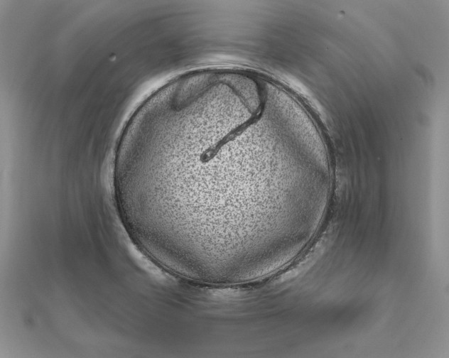 X0000112061421200908181148