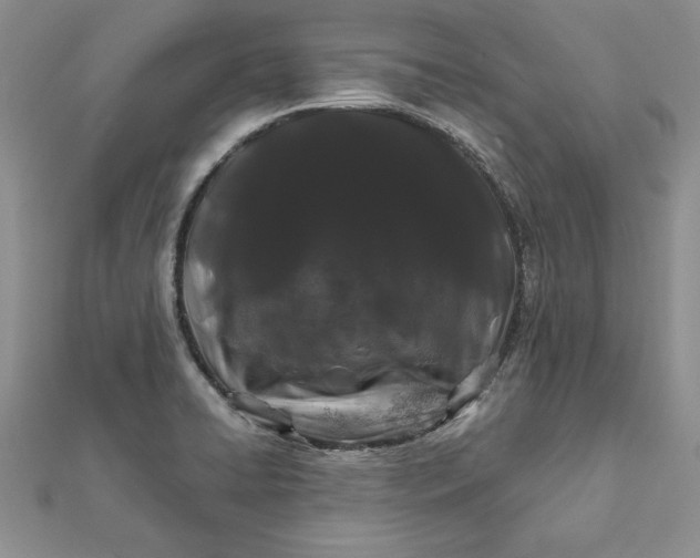 X0000112061422200908181148