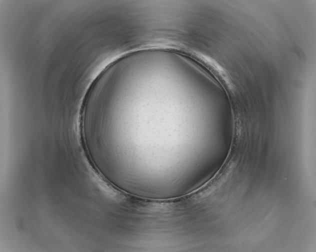 X0000112061423200908181148