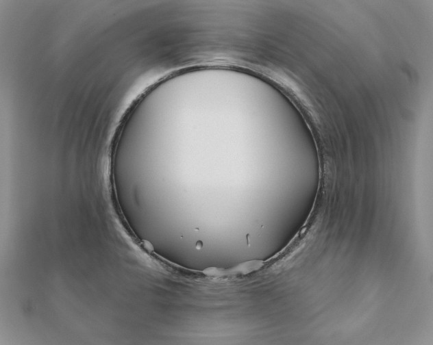 X0000112061424200908181148