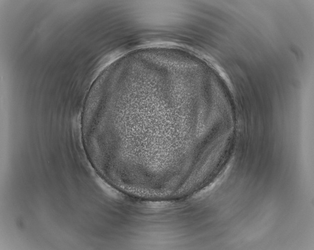 X0000112061425200908181148