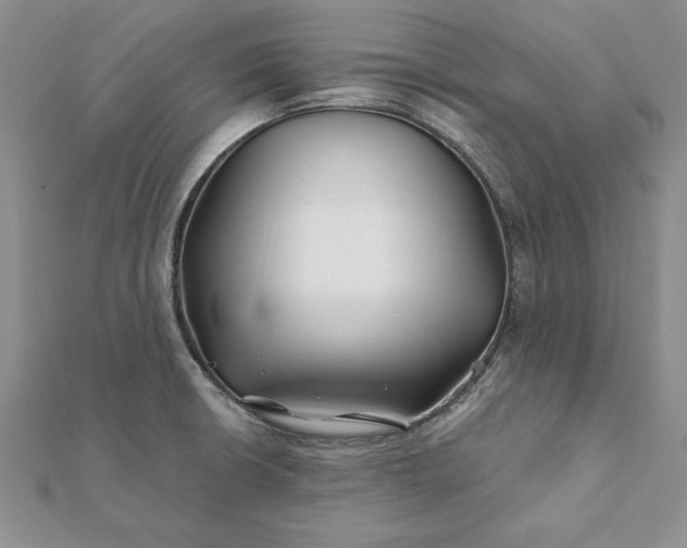 X0000112061426200908181148