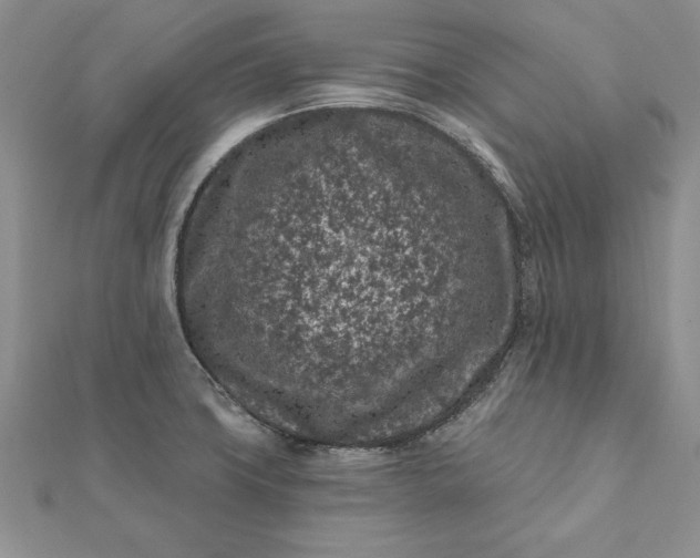 X0000112061427200908181148