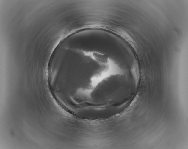 X0000112061428200908181148