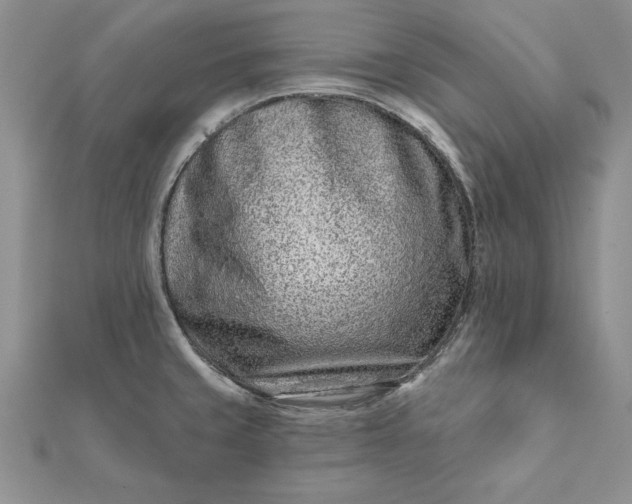 X0000112061429200908181148