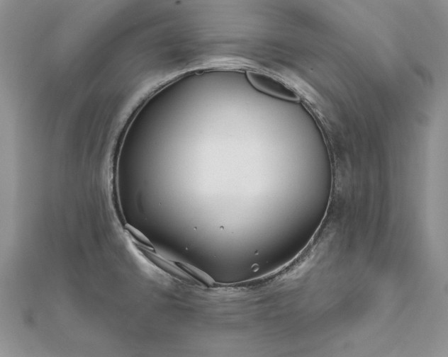 X0000112061430200908181148